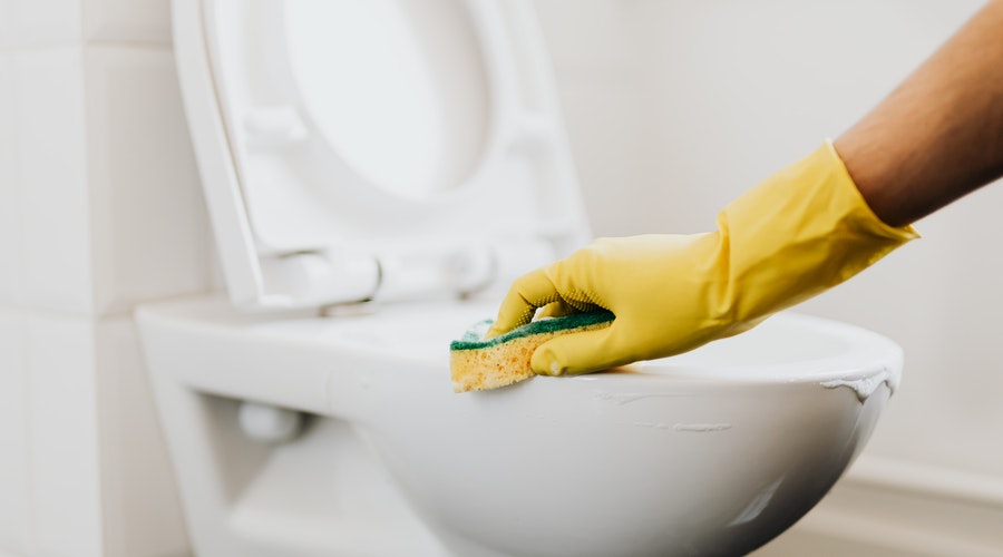 clean your toilet